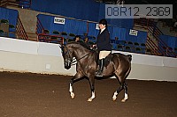 08r12_2369 proof