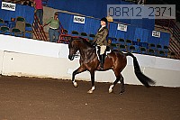 08r12_2371 proof