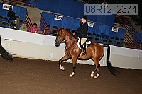 08r12_2374 proof