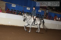 08r12_2379 proof