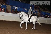 08r12_2329 proof