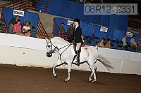 08r12_2331 proof