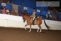 08r12_2333 proof