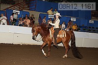 08r12_1161 proof