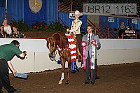 08r12_1163 proof