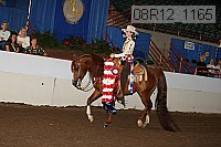 08r12_1165 proof