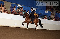 08r12_1172 proof