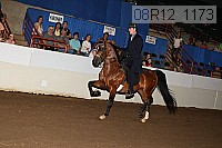 08r12_1173 proof