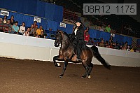 08r12_1175 proof