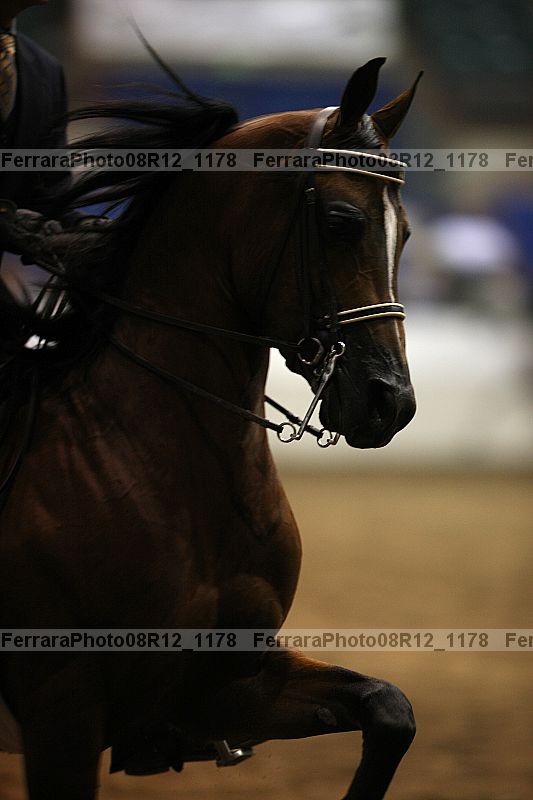 Proof 08r12_1178