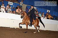 08r12_1185 proof