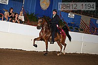 08r12_1194 proof