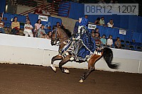 08r12_1207 proof