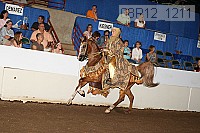 08r12_1211 proof
