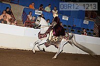 08r12_1213 proof
