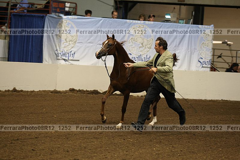 Proof 08r12_1252