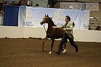 08r12_1252 proof