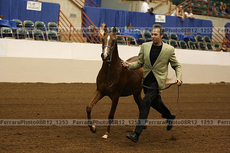 Proof 08r12_1253