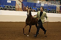08r12_1253 proof