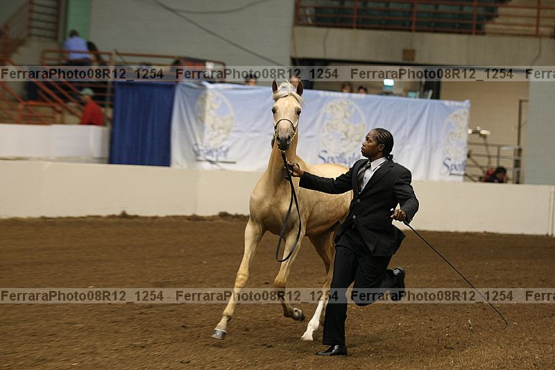Proof 08r12_1254