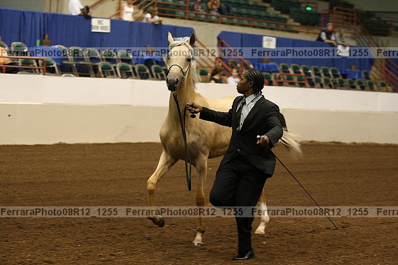 Proof 08r12_1255