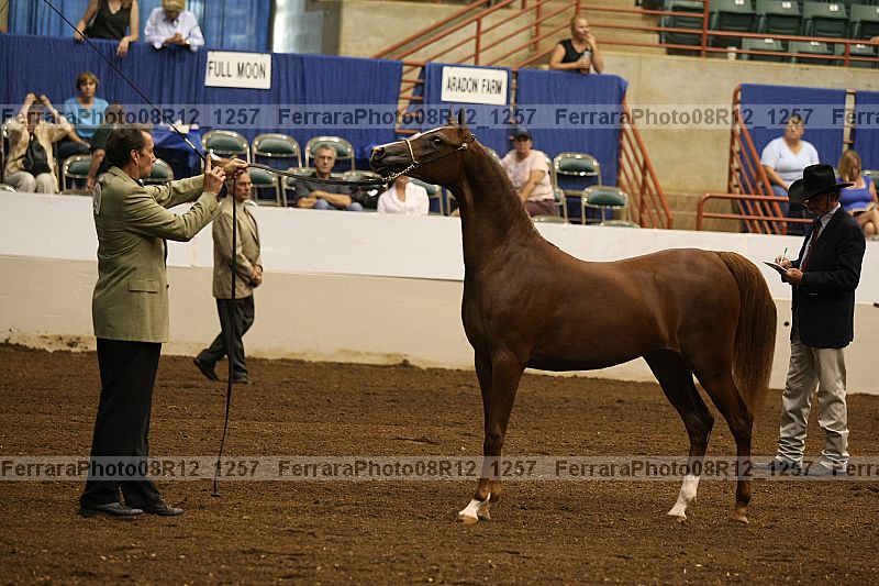 Proof 08r12_1257
