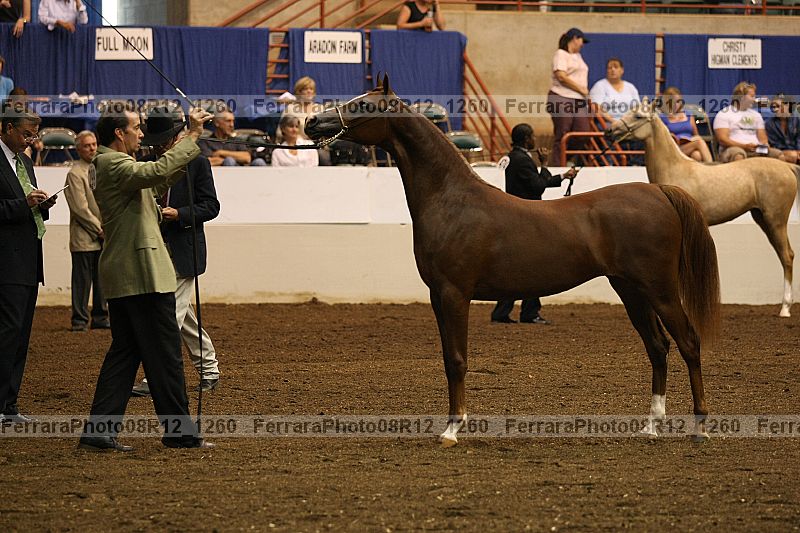 Proof 08r12_1260