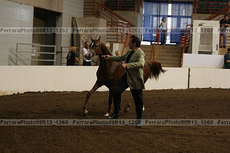 Proof 08r12_1262