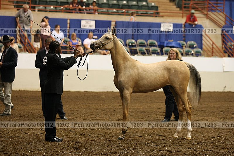 Proof 08r12_1263