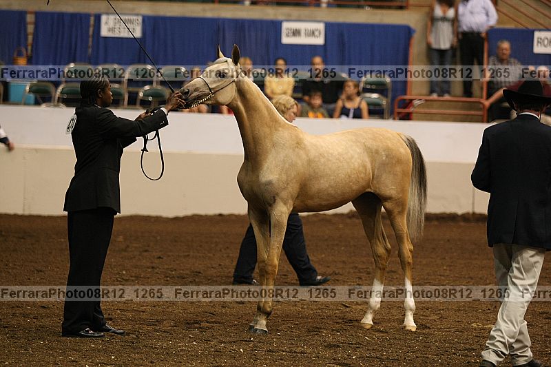 Proof 08r12_1265