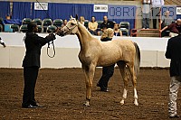 08r12_1266 proof
