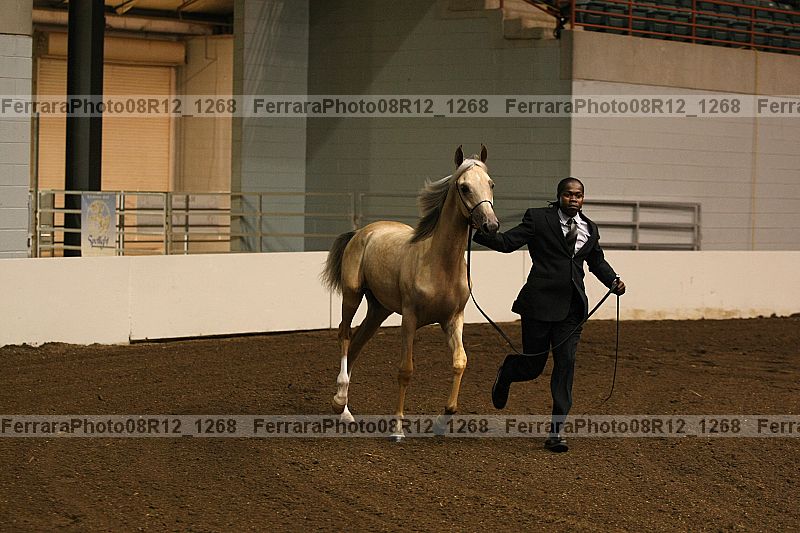Proof 08r12_1268