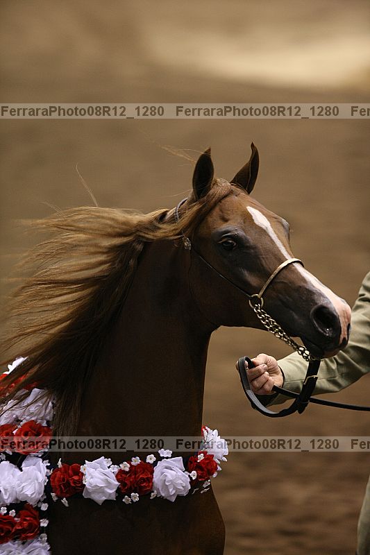 Proof 08r12_1280