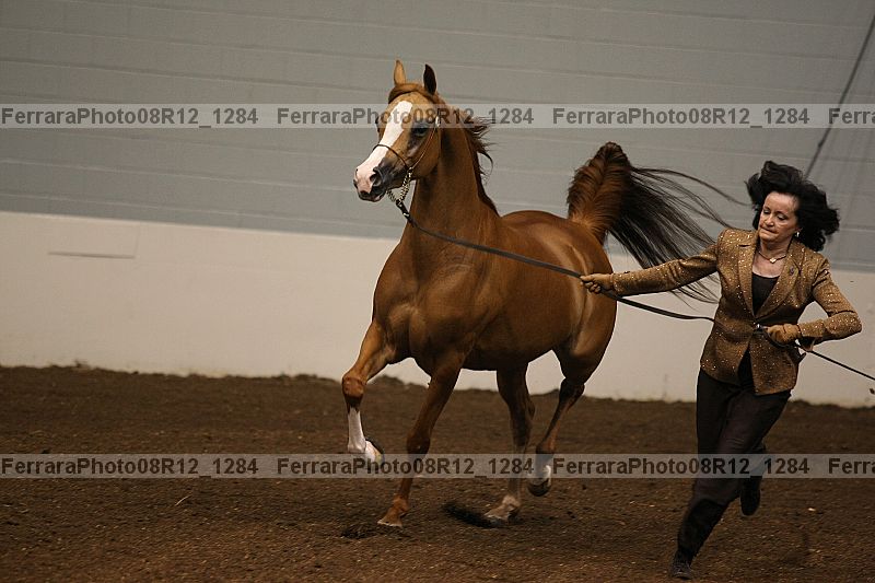 Proof 08r12_1284