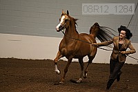 08r12_1284 proof
