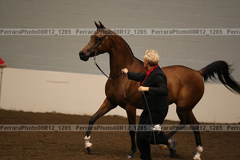 Proof 08r12_1285