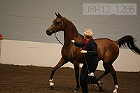 08r12_1285 proof