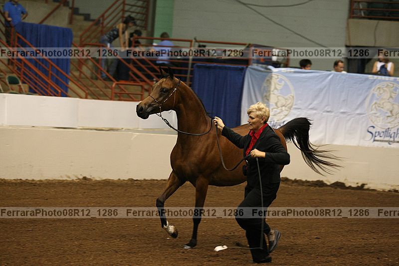 Proof 08r12_1286