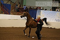 08r12_1286 proof