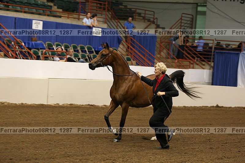 Proof 08r12_1287