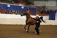 08r12_1287 proof