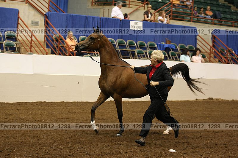 Proof 08r12_1288
