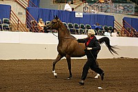 08r12_1288 proof