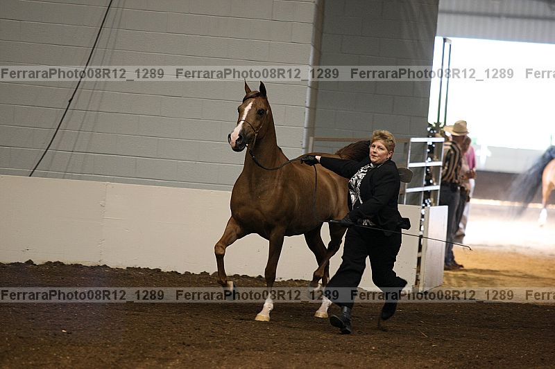 Proof 08r12_1289