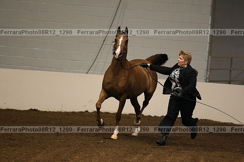 Proof 08r12_1290
