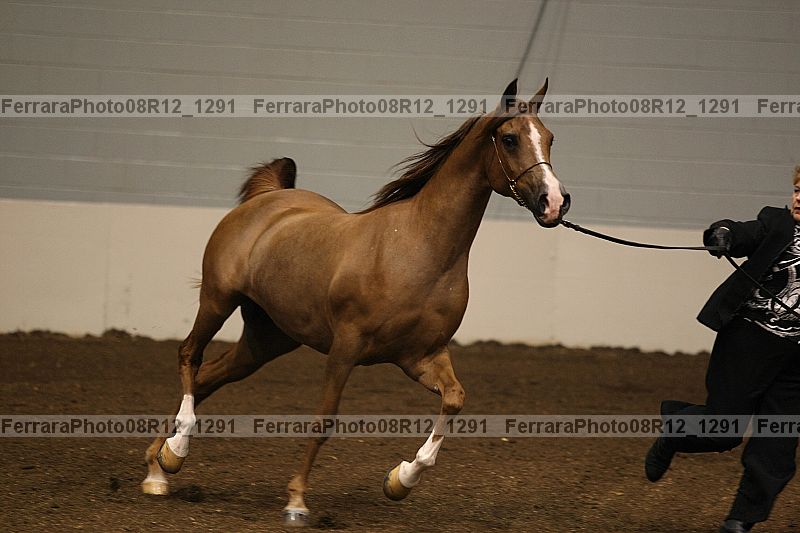 Proof 08r12_1291
