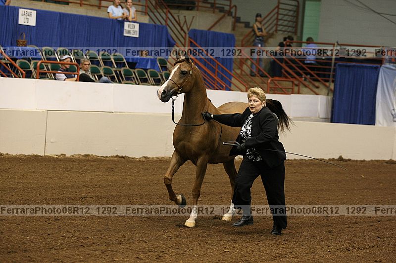 Proof 08r12_1292