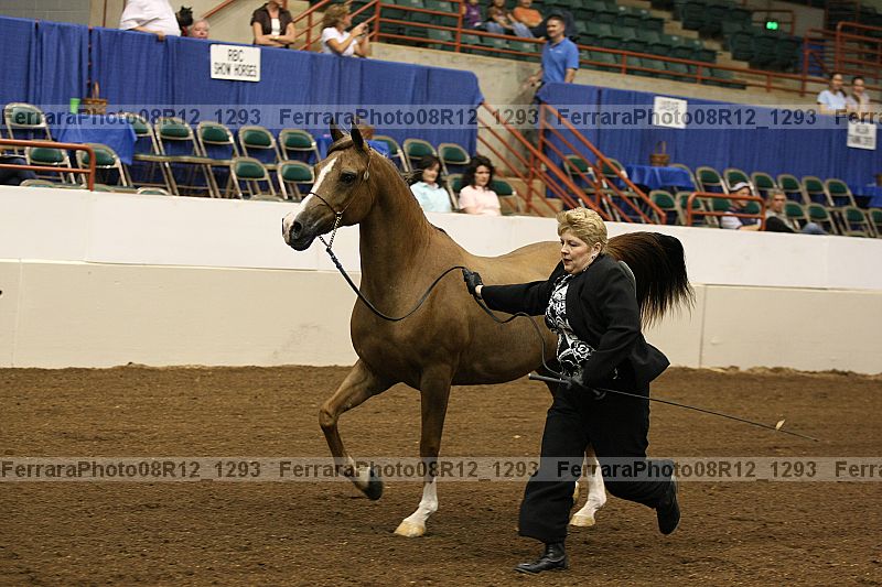 Proof 08r12_1293