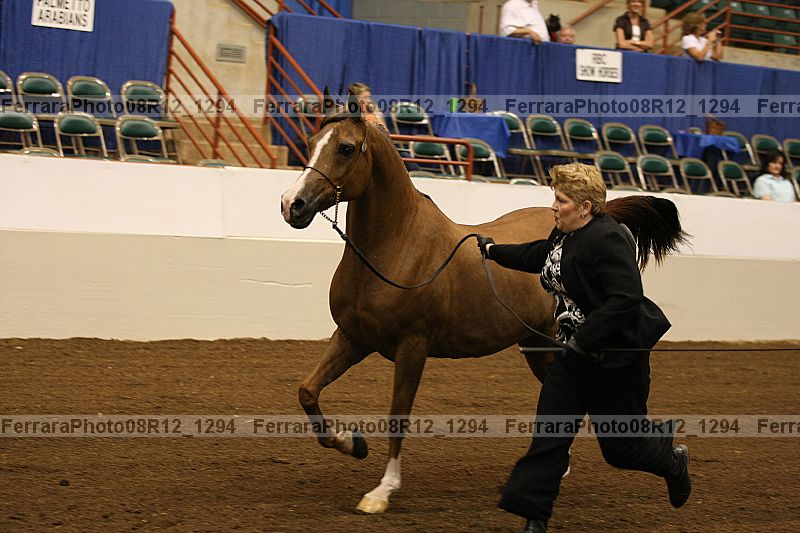 Proof 08r12_1294