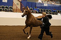 08r12_1294 proof